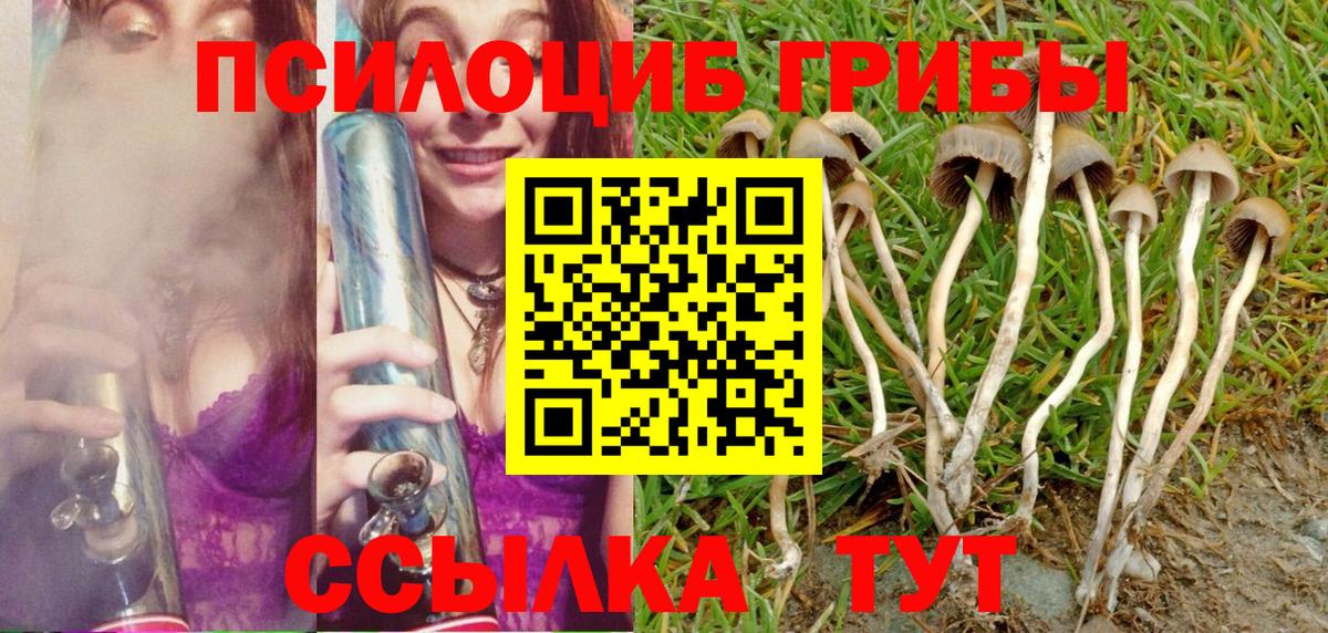 Псилоцибиновые грибы ЛСД Среднеуральск